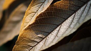 ai généré fermer de feuilles avec riches textures. génératif ai photo