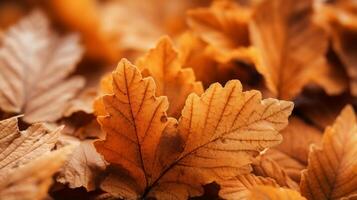 ai généré fermer de texturé l'automne feuilles. génératif ai photo