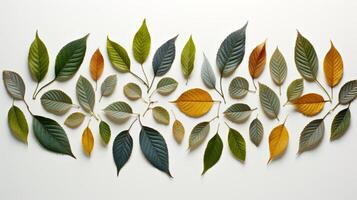 ai généré feuilles arrangé dans une décoratif modèle. génératif ai photo