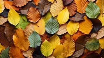 ai généré feuilles formant une Naturel collage. génératif ai photo