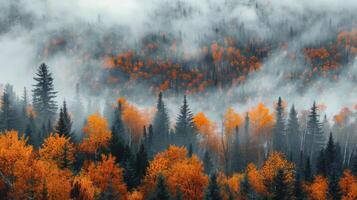 ai généré saleté route par forêt photo