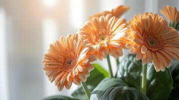 ai généré groupe de rose rempli de fleurs des vases photo