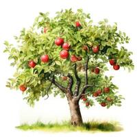 ai généré une richement détaillé aquarelle La peinture de une chargé de fruits Pomme arbre. photo