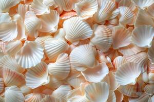 ai généré mer coquilles arrangé sur table photo