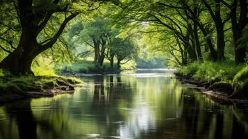 ai généré une tranquille berge de rivière avec reflets de luxuriant des arbres. génératif ai photo