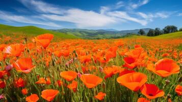 ai généré une vibrant champ de sauvage coquelicots. génératif ai photo