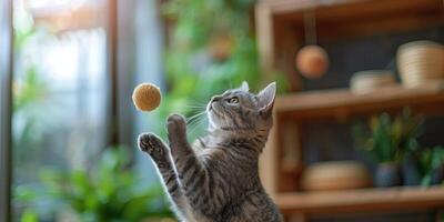 ai généré petit chaton en jouant avec Balle photo