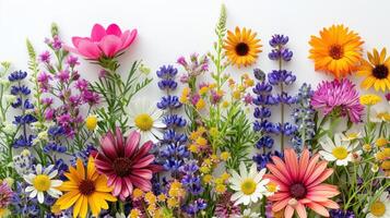 ai généré Contexte avec une grappe de coloré fleurs sauvages dans le coin. photo