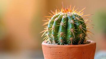 ai généré petit cactus dans argile pot sur table photo