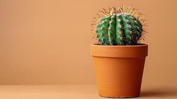 ai généré cactus dans une pot sur une table photo