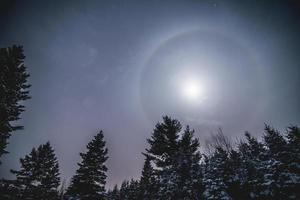 halo de lune dans la forêt sauvage en hiver photo