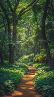 ai généré saleté chemin Coupe par forêt photo