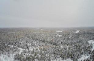 vue aérienne de la nature sauvage et de la forêt en hiver.