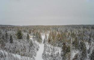 vue aérienne de la forêt et de la petite cabane en bois de rondins canadienne pendant l'hiver.