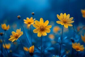 ai généré vibrant Jaune fleurs sauvages dans une Prairie avec une Profond bleu crépuscule ambiance photo