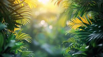 Soleil brille par feuilles de tropical arbre photo