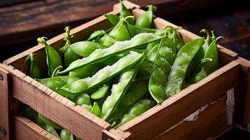 croustillant violet des haricots dans en bois carton photo