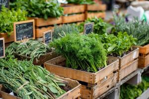 biologique herbes sur le marché. photo