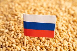 grains de blé avec le drapeau de la russie, l'exportation commerciale et le concept d'économie. photo