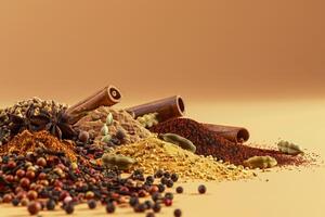 garam Masala épices une variété de aromatique garam Masala épices avec photo