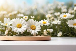 Vide podium pour manifestation et montage de produit avec marguerites floral printemps et été décor. été arrière-plan, épanouissement, anniversaire, Mars 8, Pâques, femmes jour, mariage. copie espace. photo