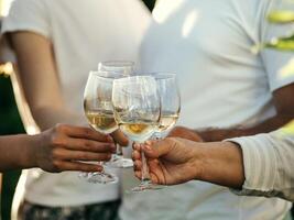 blanc du vin des lunettes dans mains. quatre méconnaissable gens bruit des lunettes ensemble en plein air. photo