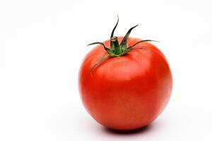 momotaro type tomates sur blanc Contexte photo