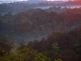 le étourdissant vue de une touristes point de vue comme elles ou ils aller vers le bas une colline sur une brumeux Piste avec une colline et une Contexte de une d'or ciel dans forêt parc, Thaïlande. des oiseaux œil voir. aérien voir. forêt tropicale photo