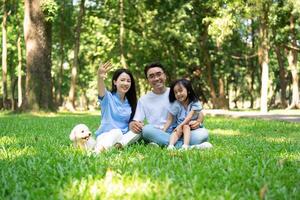 photo de Jeune asiatique famille à parc