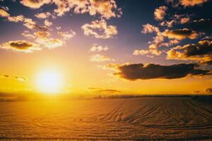 Haut vue de une le coucher du soleil ou lever du soleil dans un agricole champ avec oreilles de Jeune d'or seigle avec une nuageux ciel. esthétique de ancien film. photo