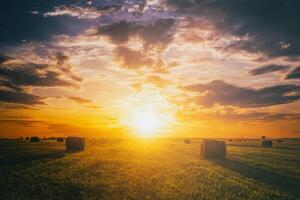 le coucher du soleil dans une champ avec meules de foin sur une été ou de bonne heure l'automne soir avec une nuageux ciel dans le Contexte. approvisionnement de animal alimentation. esthétique de ancien film. photo