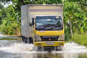 une logistique boîte un camion qui passe par inonder des eaux dans grec district, Indonésie, 21 février 2024. photo