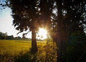 spectaculaire le coucher du soleil sur, Orange Soleil en hausse en haut plus de le horizon photo