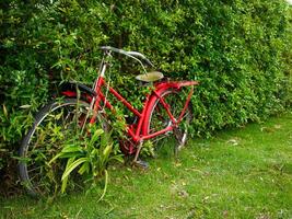 coloré rouge vélo ancien vélo garé à côté de boutons de manteau. photo