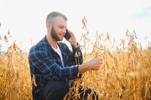 une mignonne agriculteur est permanent dans une soja champ et parlant sur le téléphone avec le sien affaires partenaire photo