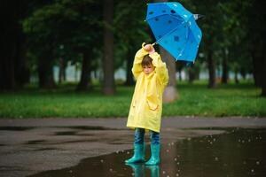 peu garçon en jouant dans pluvieux été parc. enfant avec parapluie, imperméable manteau et bottes sauter dans flaque et boue dans le pluie. enfant en marchant dans été pluie Extérieur amusement par tout temps. content enfance. photo