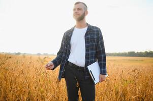 une Jeune Beau agriculteur ou agronome examine le maturité de soja dans le champ avant récolte photo