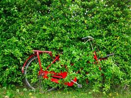 rouge aux femmes vélo contre le de face porte rail couvert avec feuilles. photo