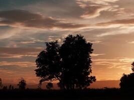 spectaculaire le coucher du soleil sur, Orange Soleil en hausse en haut plus de le horizon photo