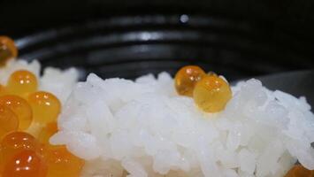 proche en haut de sashimi Saumon chevreuil avec riz bol ou donburi dans Japonais style aliments. photo