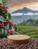 vide bois podium entouré par café des haricots avec café plante avec rouge fruit photo