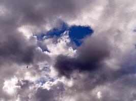 blanc duveteux cumulus des nuages dans le été ciel, Naturel des nuages Contexte photo