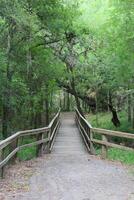 une pont plus de le mission rivière dans le parc. photo