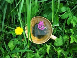 en bonne santé à base de plantes thé avec médical herbes. photo