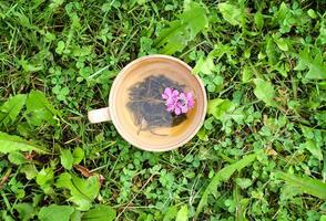 en bonne santé à base de plantes thé avec médical herbes. photo