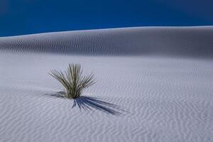 monument national de sable blanc photo