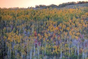 kolob l'automne couleurs photo