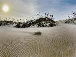 cap hatteras plage photo