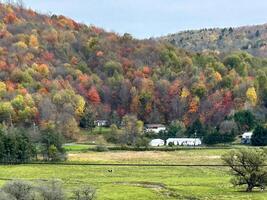 tomber dans rural Nouveau york photo