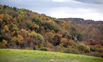 Pennsylvanie tomber couleurs photo